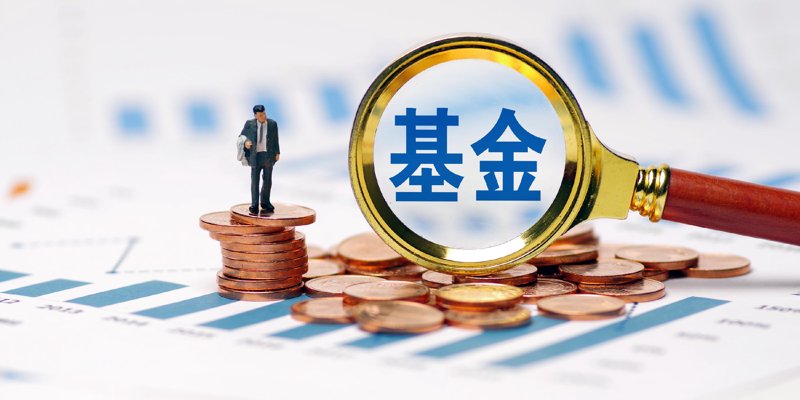 股权投资成本解析：洞察上海投资生态