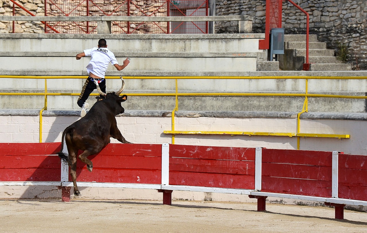 奇也曾遭遇
